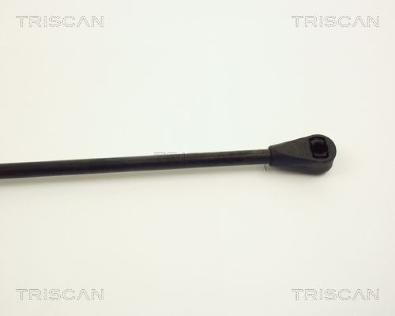 TRISCAN 8710 2504 Gasfeder Hinten für Renault R5