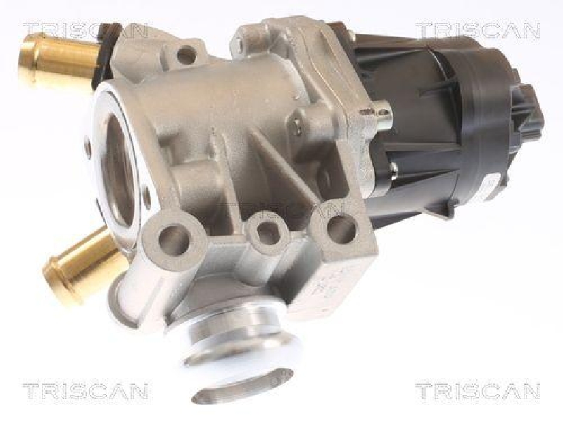 TRISCAN 8813 15076 Agr Ventil für Fiat Ducato