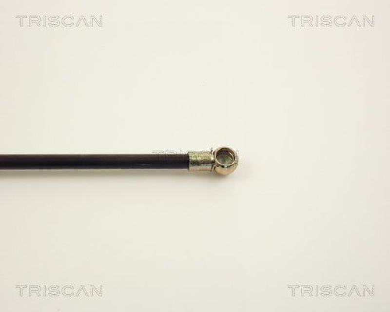 TRISCAN 8710 2508 Gasfeder Hinten für Renault R21