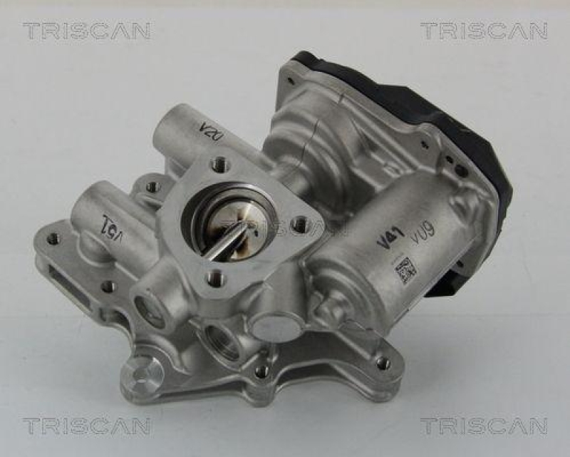 TRISCAN 8813 15205 Agr Ventil für Fiat