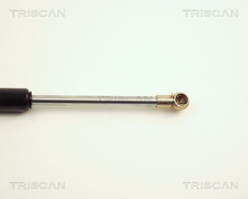 TRISCAN 8710 25101 Gasfeder Vorne für Renault R25