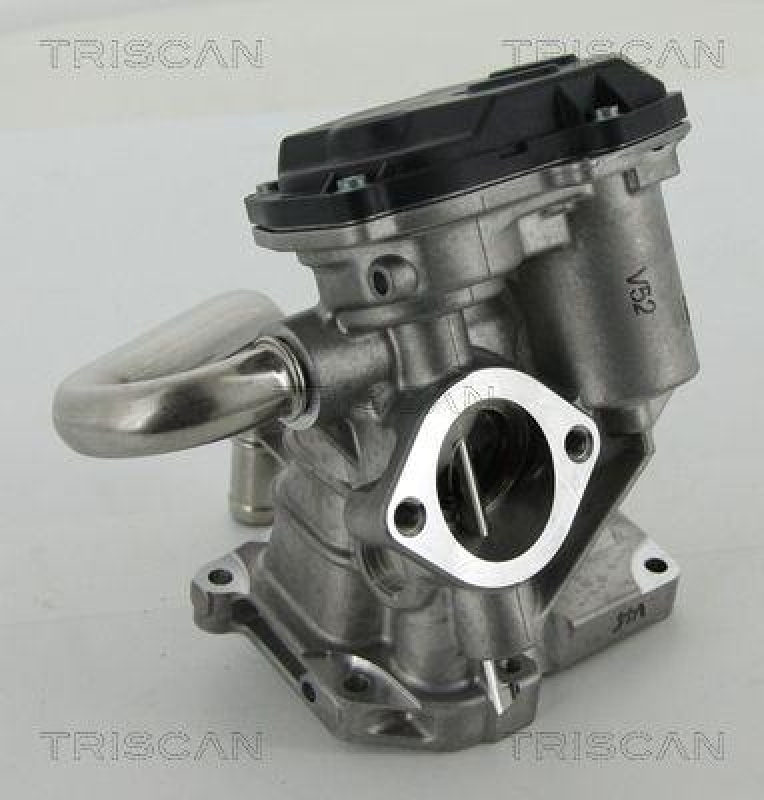 TRISCAN 8813 15206 Agr Ventil für Fiat