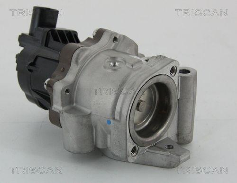 TRISCAN 8813 15207 Agr Ventil für Fiat