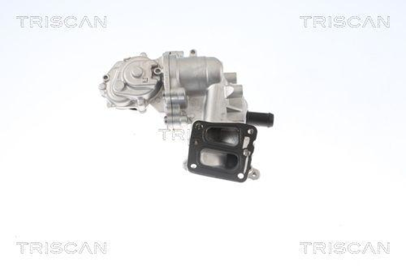 TRISCAN 8813 16005 Agr Ventil