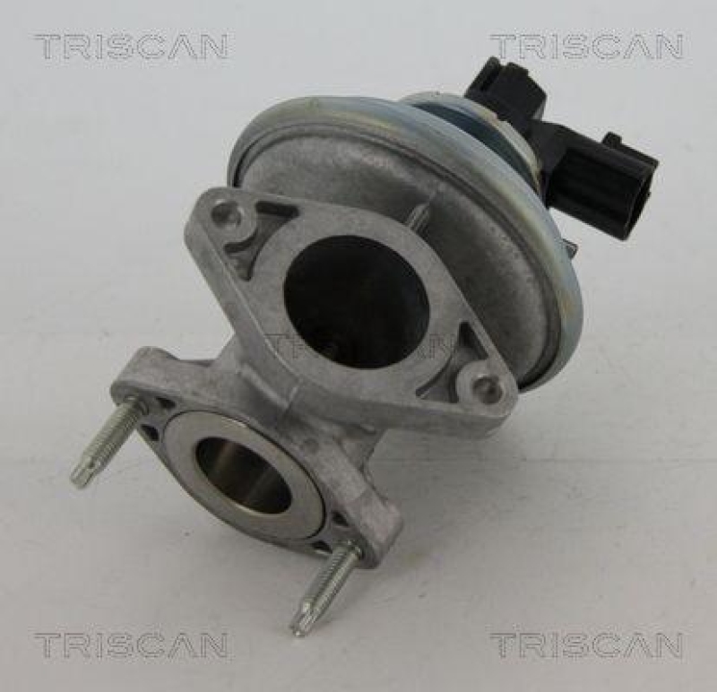 TRISCAN 8813 16045 Agr Ventil für Ford/Volvo/Mazda