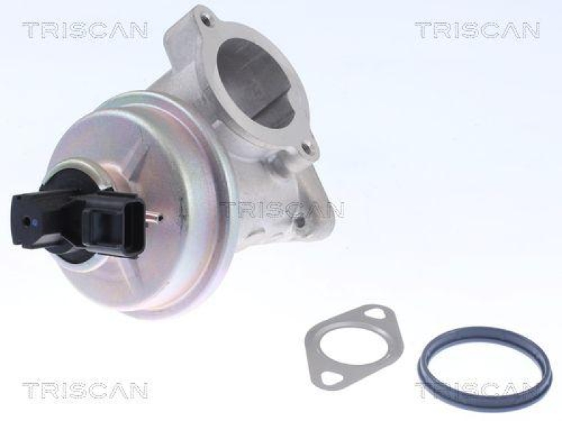 TRISCAN 8813 16054 Agr Ventil für Ford/Volvo/Mazda