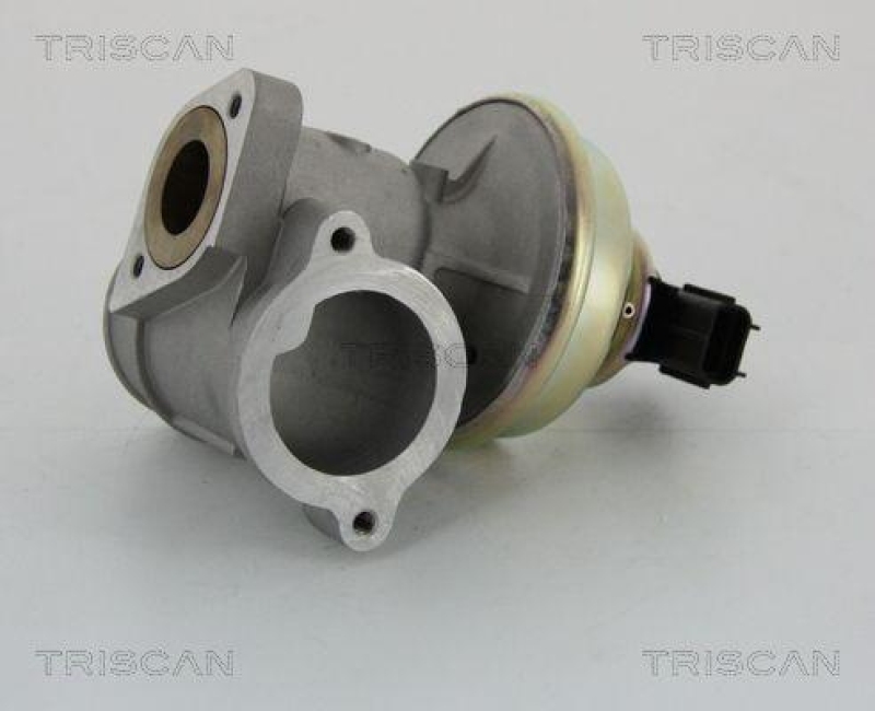 TRISCAN 8813 16102 Agr Ventil für Ford