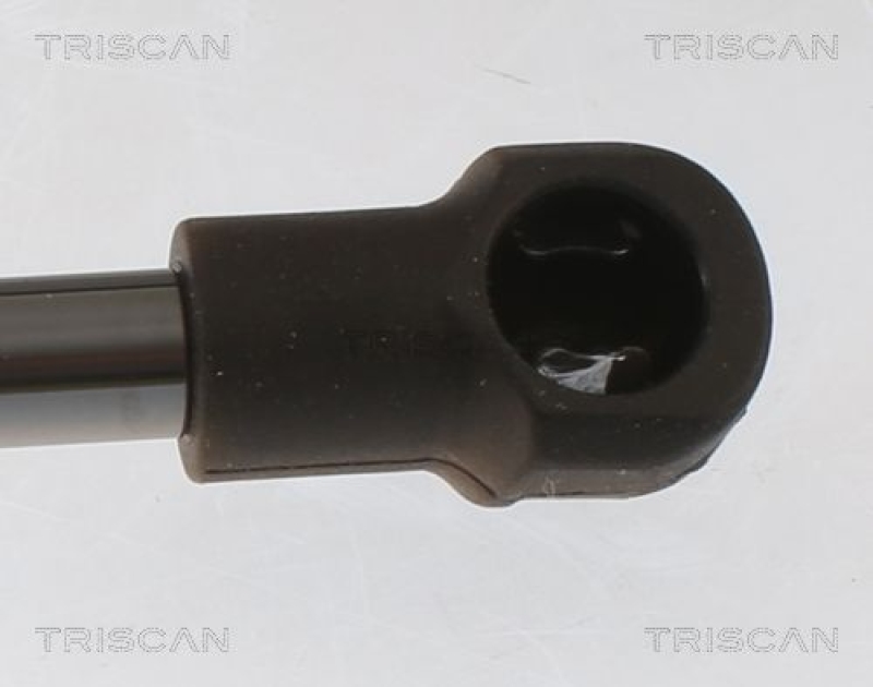 TRISCAN 8710 25233 Gasfeder Hinten für Renault Modus