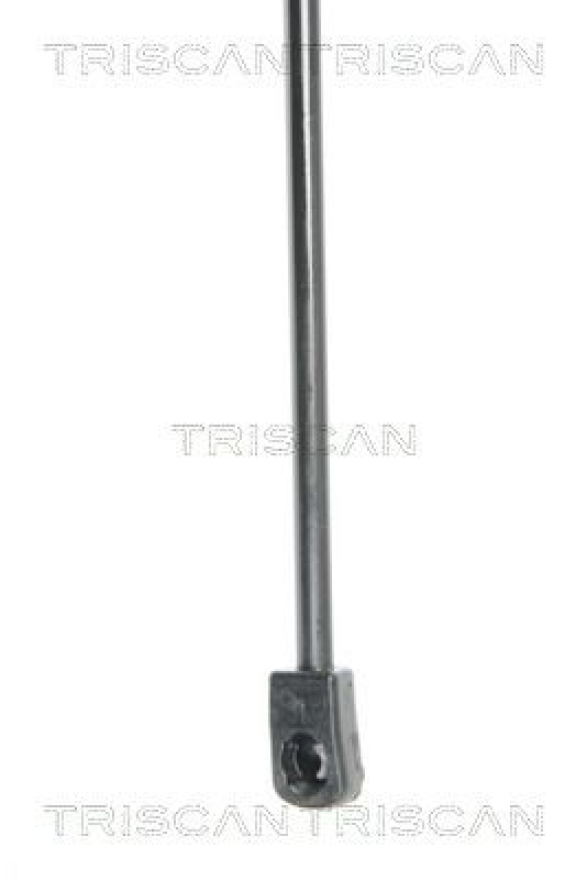 TRISCAN 8710 25238 Gasfeder Hinten für Renault Twingo