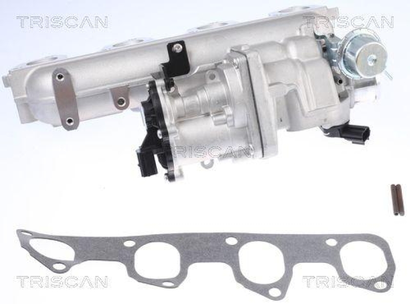 TRISCAN 8813 16155 Agr Ventil für Ford