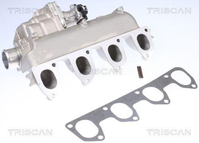 TRISCAN 8813 16160 Agr Ventil für Ford