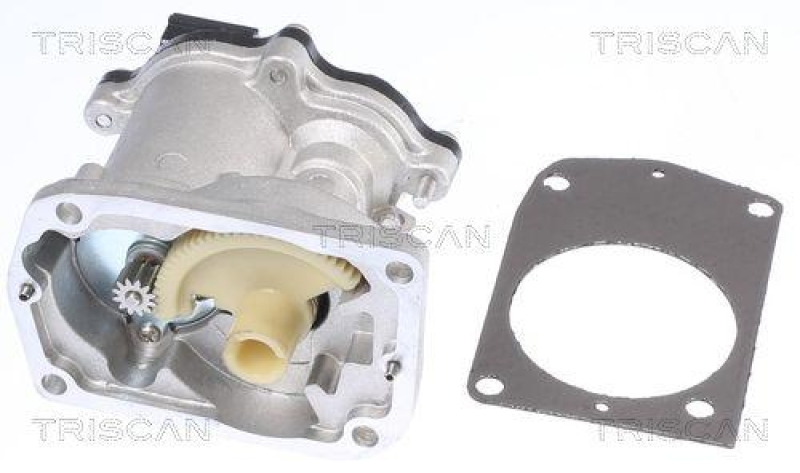 TRISCAN 8813 16201 Agr Ventil für Ford