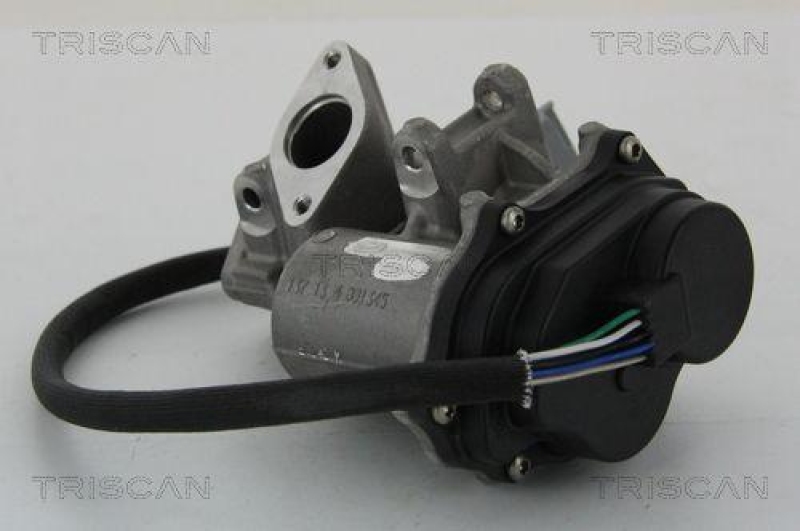 TRISCAN 8813 17019 Agr Ventil für Ford/Landrover