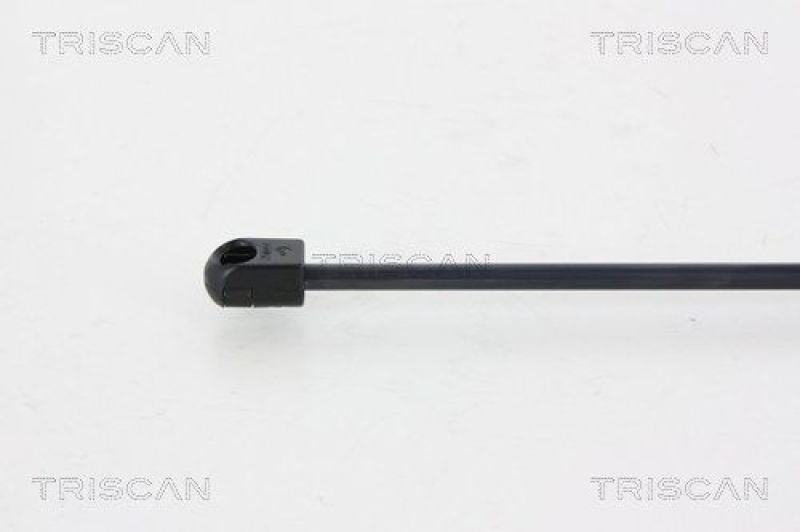 TRISCAN 8710 25257 Gasfeder Hinten für Dacia Sandero