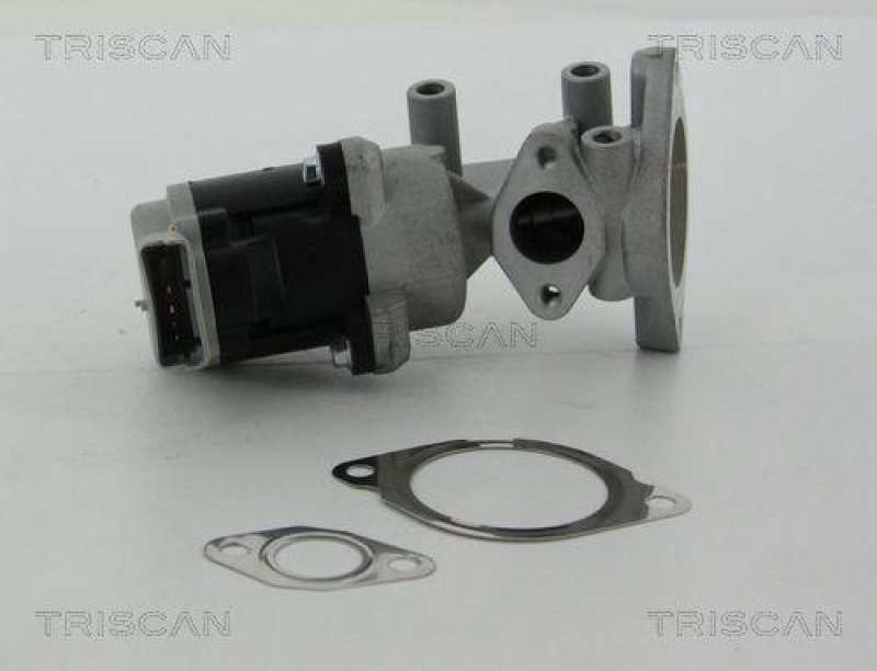 TRISCAN 8813 17020 Agr Ventil für Ford/Landrover