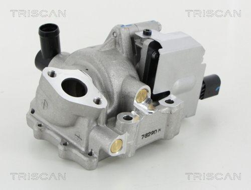 TRISCAN 8813 18046 Agr Ventil für Hyundai, Kia