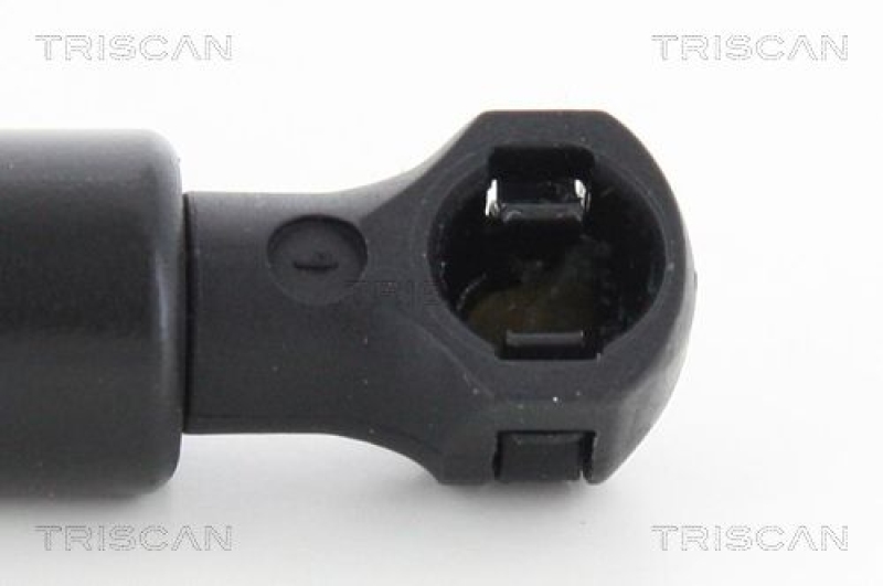 TRISCAN 8710 25272 Gasfeder Hinten für Renault Clio Iv