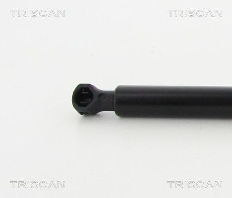 TRISCAN 8710 25273 Gasfeder Hinten für Renault Clio Iv