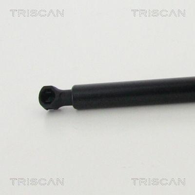 TRISCAN 8710 25276 Gasfeder Hinten für Renault Captur