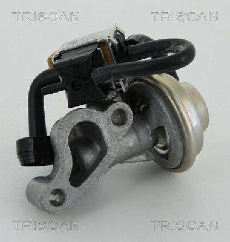 TRISCAN 8813 23005 Agr Ventil für Mercedes