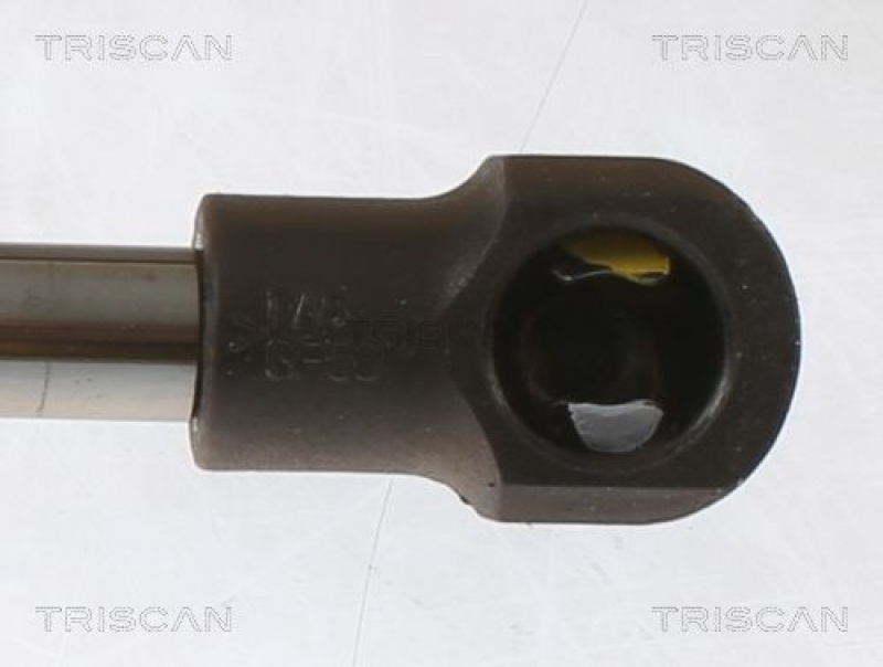 TRISCAN 8710 25280 Gasfeder Hinten für Megane Grandtour 16-