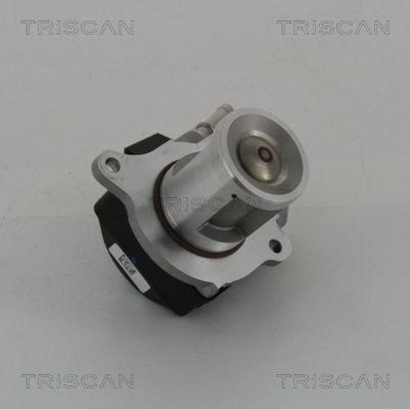 TRISCAN 8813 23016 Agr Ventil für Mercedes