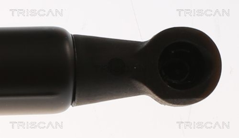 TRISCAN 8710 25287 Gasfeder Hinten für Renault