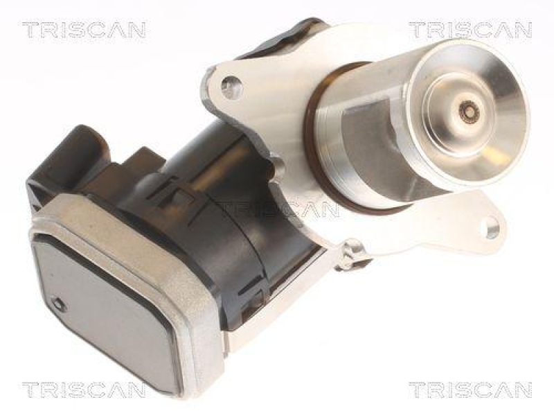 TRISCAN 8813 23036 Agr Ventil für Mercedes