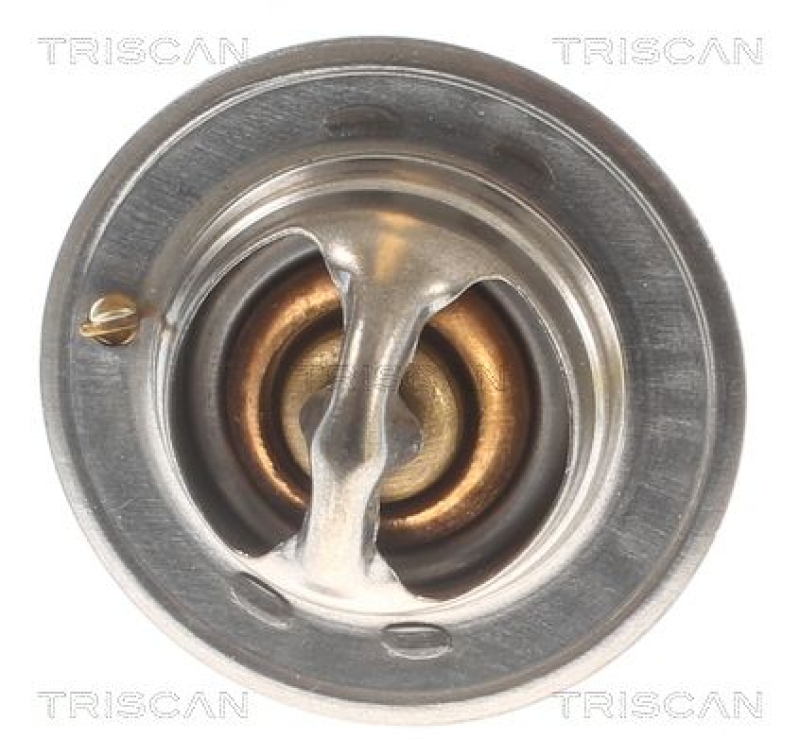 TRISCAN 8620 10588 Thermostat für Ford (1)