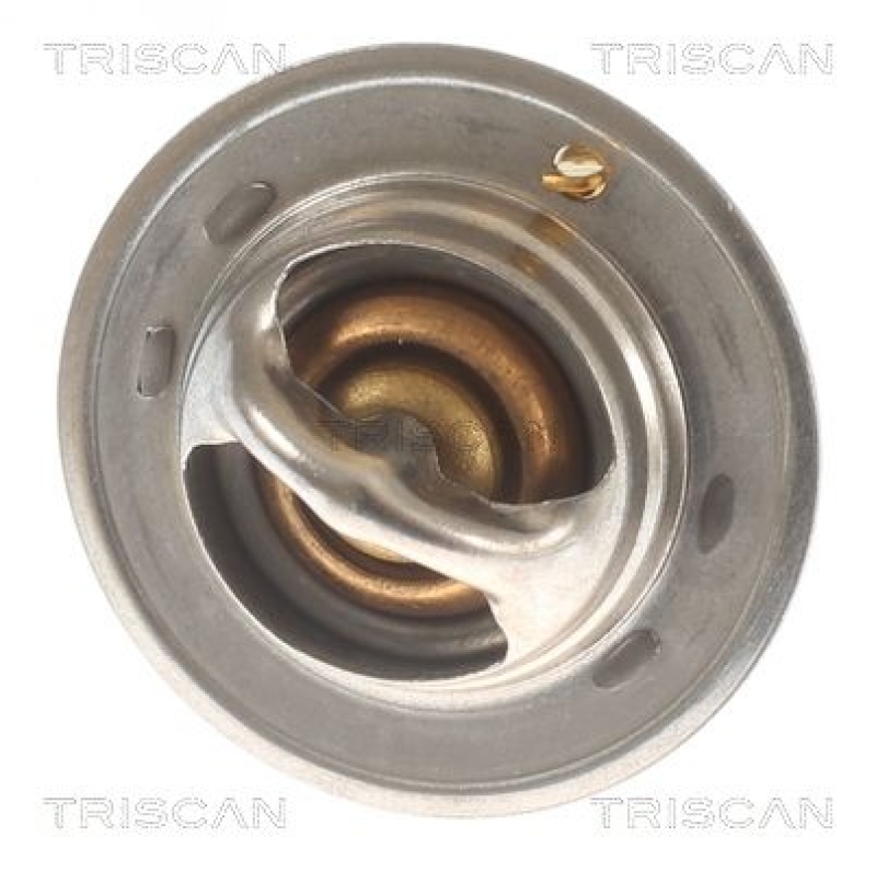 TRISCAN 8620 10592 Thermostat für Ford (1)