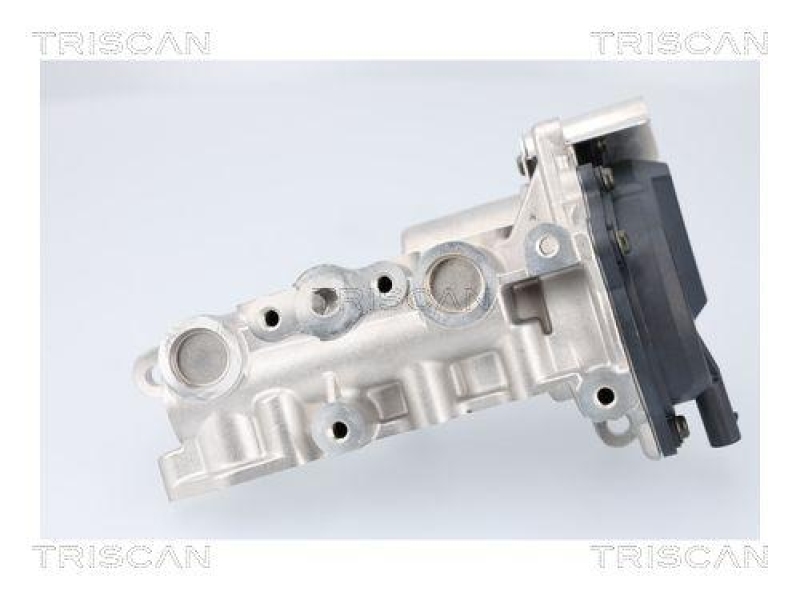 TRISCAN 8813 23041 Agr Ventil für Mercedes