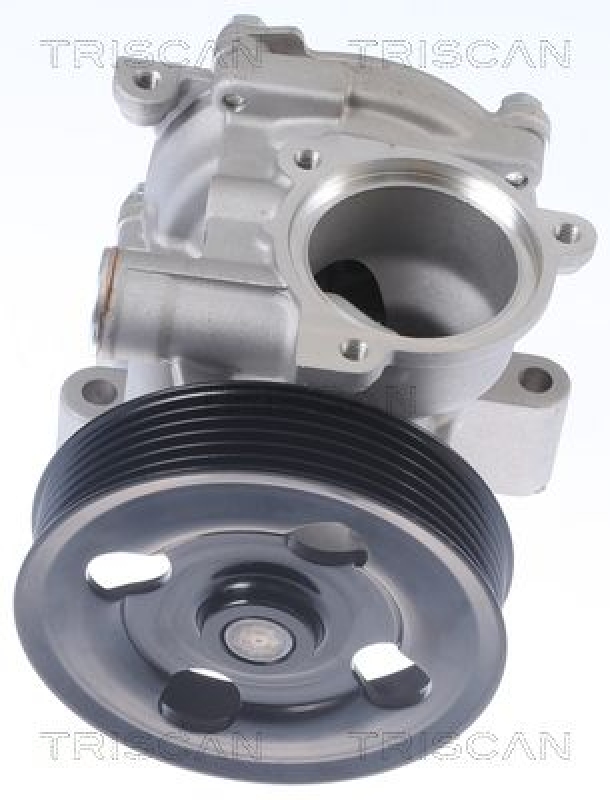 TRISCAN 8600 69012 Wasserpumpe für Subaru