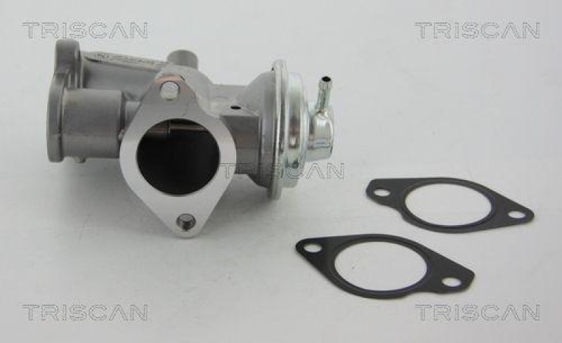 TRISCAN 8813 24031 Agr Ventil für Opel/Saab