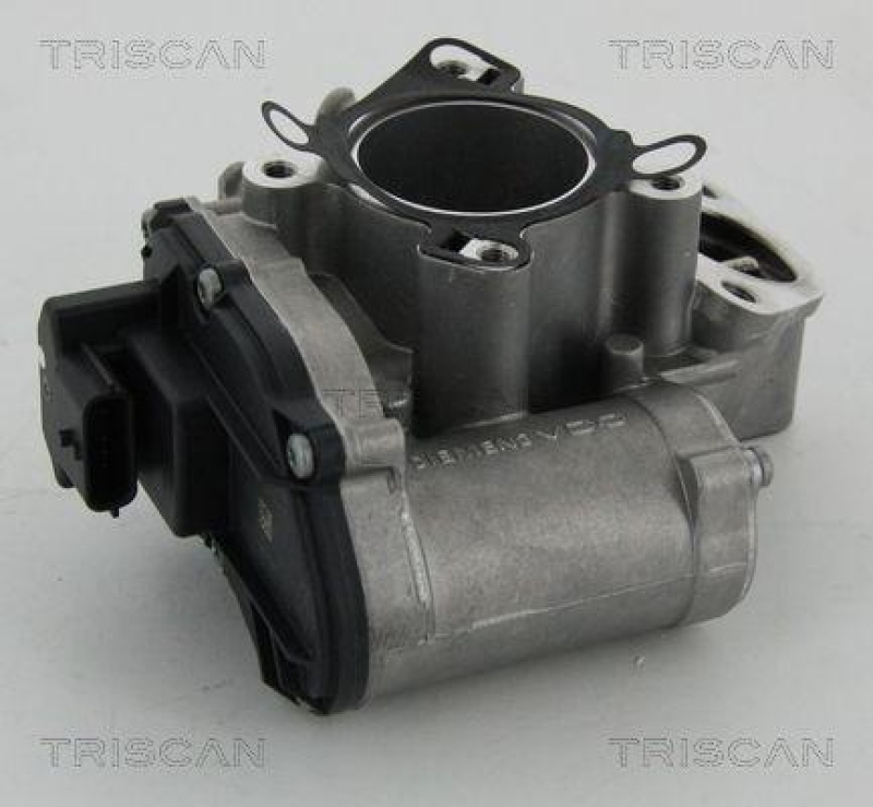 TRISCAN 8813 24039 Agr Ventil für Opel/Nissan