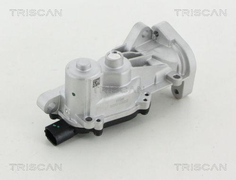 TRISCAN 8813 24040 Agr Ventil für Opel/Gm