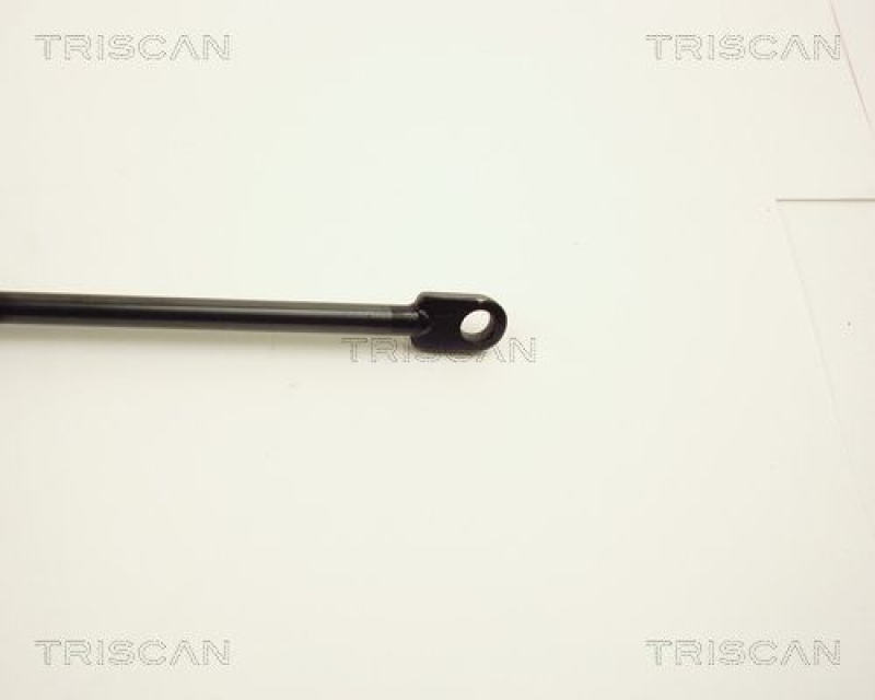 TRISCAN 8710 2809 Gasfeder Hinten für Peugeot 604