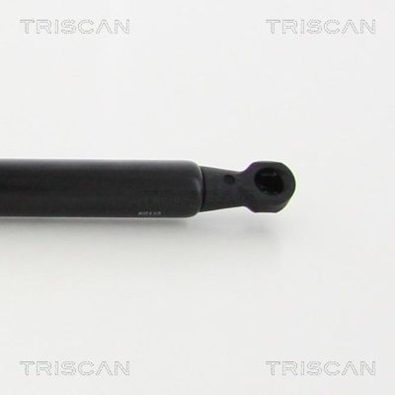 TRISCAN 8710 28106 Gasfeder Vorne für Peugeot Rcz