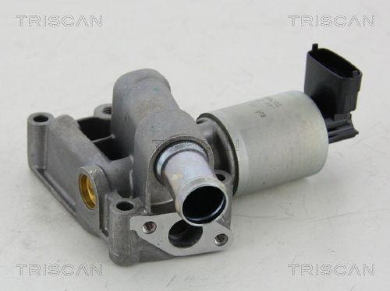 TRISCAN 8813 24059 Agr Ventil für Opel/Gm