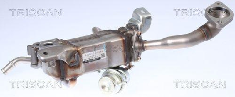 TRISCAN 8813 24105 Kühler, Abgasrückführung für Chevrolet, Opel