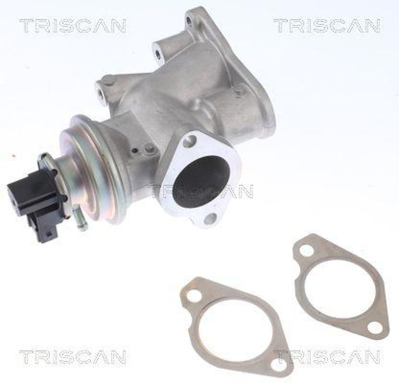 TRISCAN 8813 24203 Agr Ventil für Opel