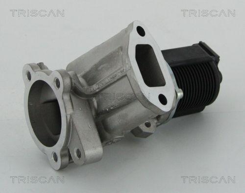 TRISCAN 8813 24204 Agr Ventil für Toyota