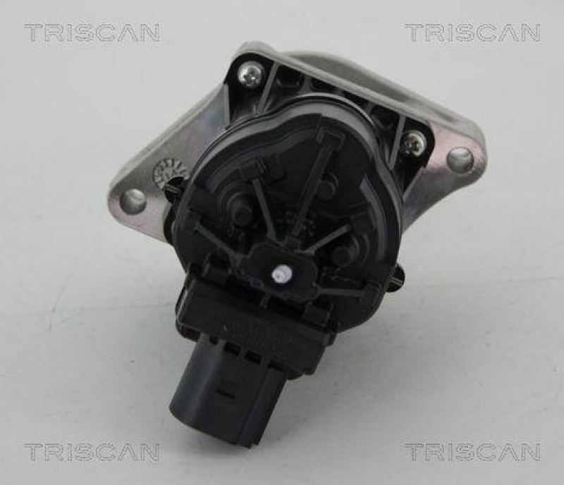 TRISCAN 8813 24205 Agr Ventil für Opel