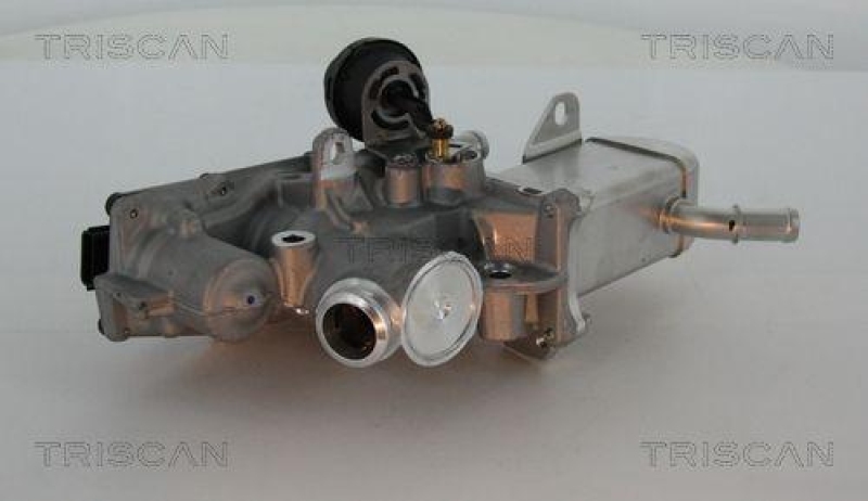 TRISCAN 8813 25013 Agr Ventil für Renault/Dacia