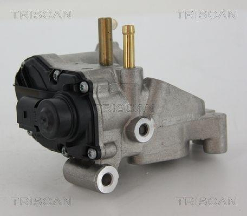 TRISCAN 8813 25018 Agr Ventil für Renault/Dacia