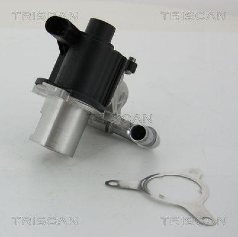 TRISCAN 8813 25039 Agr Ventil für Renault/Dacia