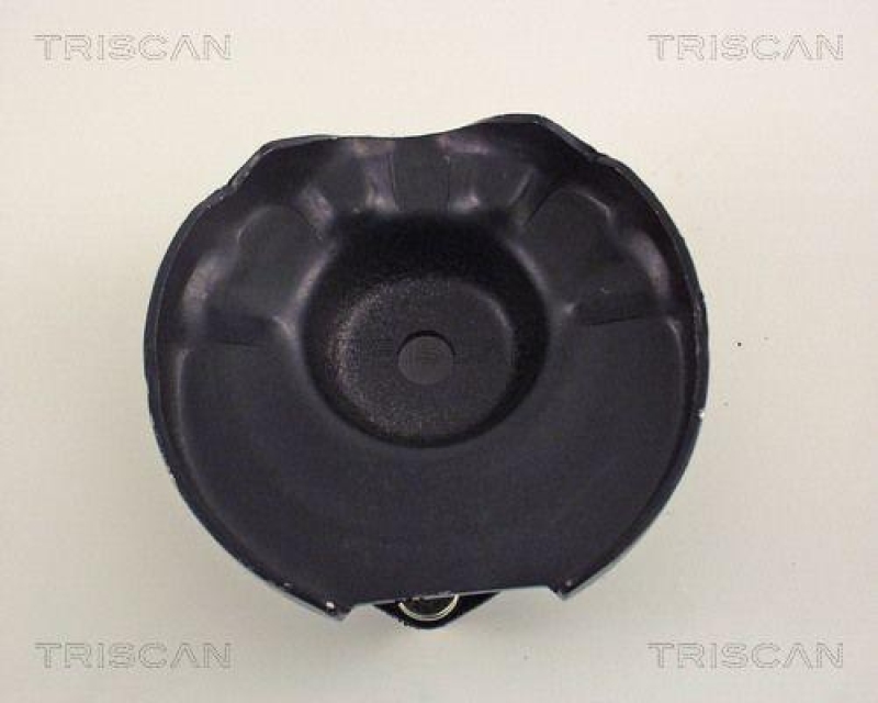 TRISCAN 8500 50907 Federbeinlager Hinten für Mazda 626 Gd