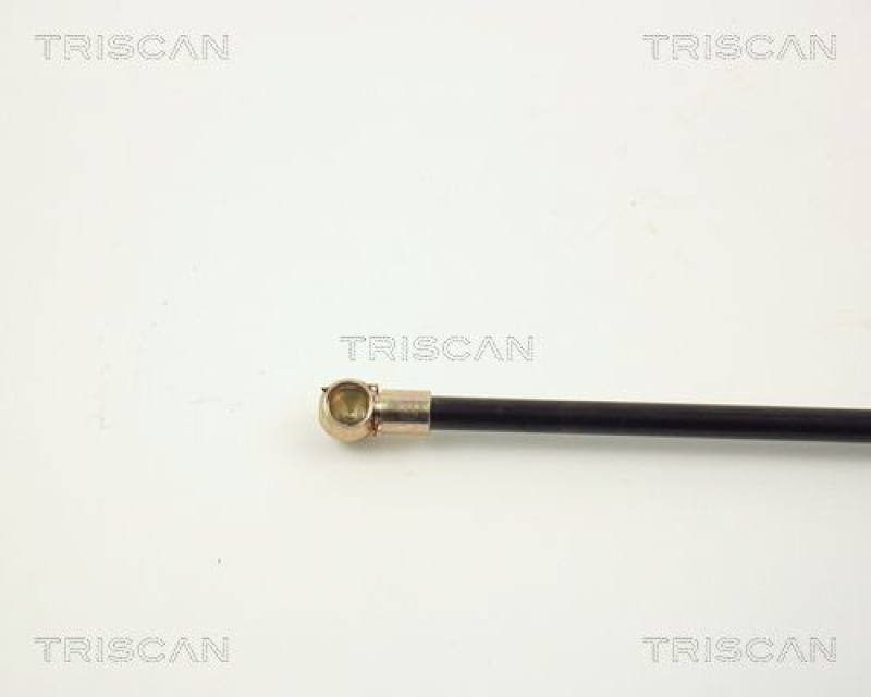 TRISCAN 8710 2902 Gasfeder Hinten für Vw Polo