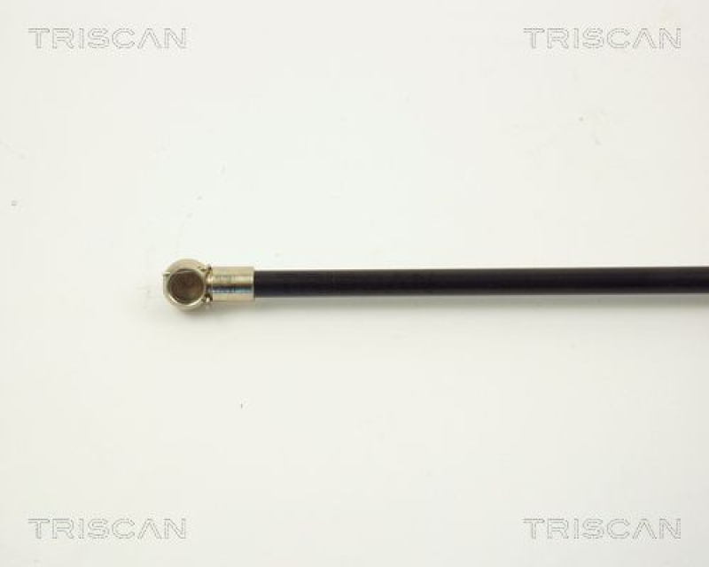 TRISCAN 8710 2903 Gasfeder Hinten für Vw Polo