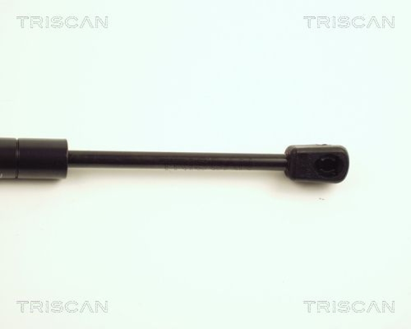 TRISCAN 8710 29113 Gasfeder Vorne für Audi Tt Coupe, Tt Cabriole