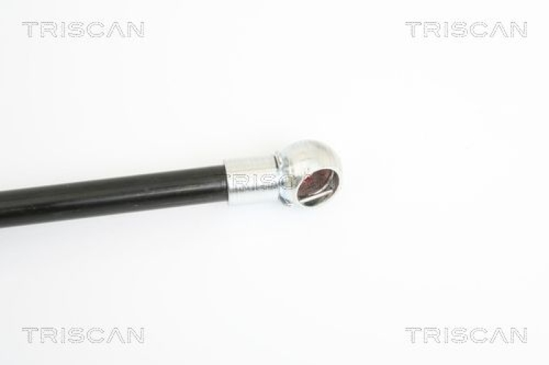 TRISCAN 8710 29126 Gasfeder Vorne für Vw Eos